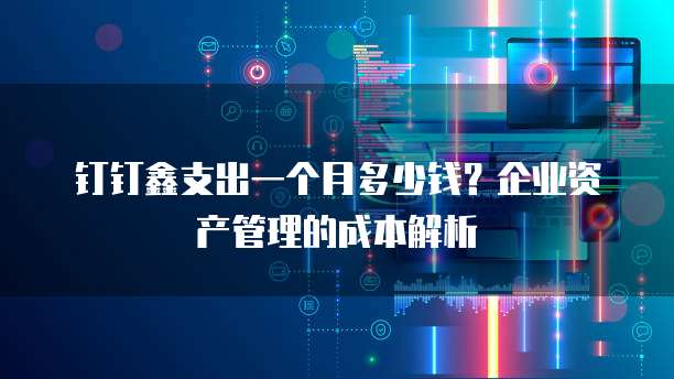 钉钉鑫支出一个月多少钱?企业资产管理的成本解析