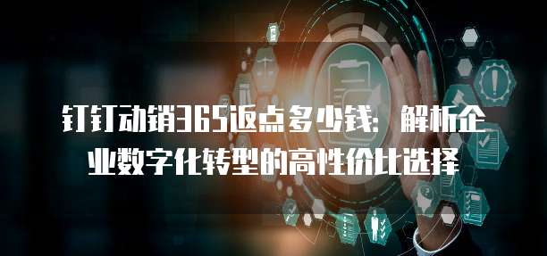 钉钉动销365返点多少钱：解析企业数字化转型的高性价比选择
