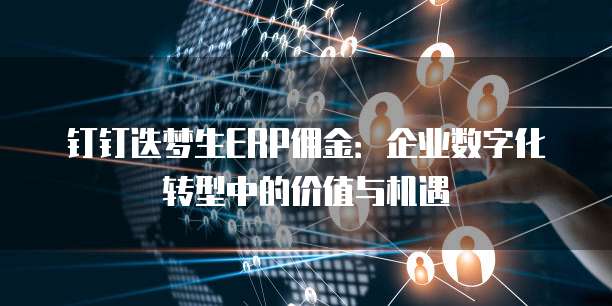 钉钉迭梦生ERP佣金：企业数字化转型中的价值与机遇