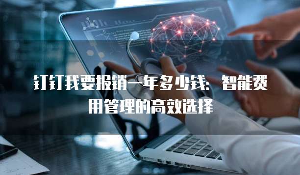 钉钉我要报销一年多少钱:智能费用管理的高效选择