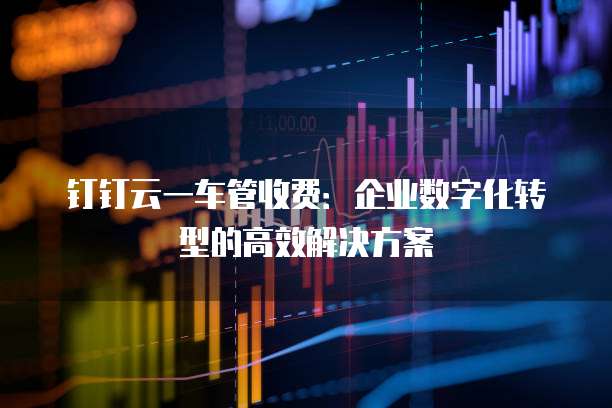 钉钉云一车管收费：企业数字化转型的高效解决方案