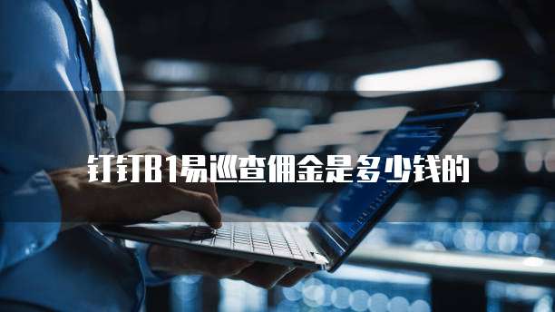 钉钉B1易巡查佣金是多少钱的