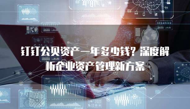 钉钉公贝资产一年多少钱?深度解析企业资产管理新方案