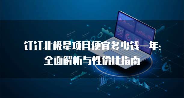 钉钉北极星项目便宜多少钱一年:全面解析与性价比指南