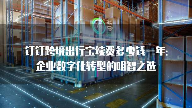 钉钉跨境出行宝续费多少钱一年:企业数字化转型的明智之选