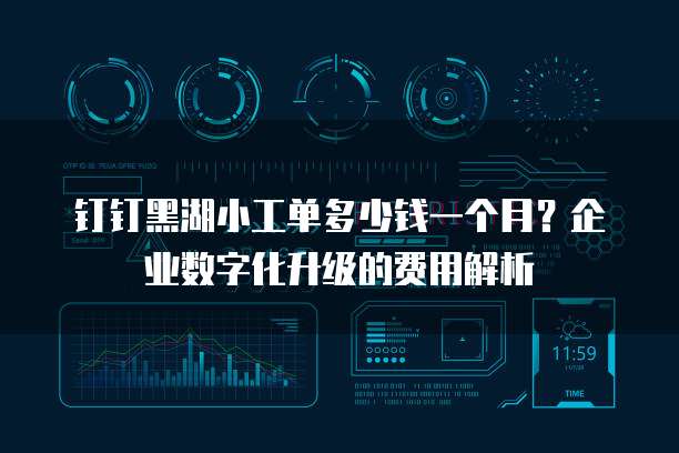 钉钉黑湖小工单多少钱一个月?企业数字化升级的费用解析