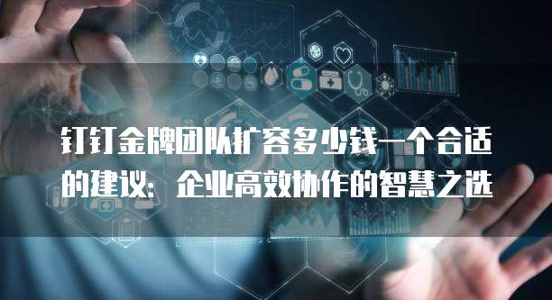 钉钉金牌团队扩容多少钱一个合适的建议:企业高效协作的智慧之选