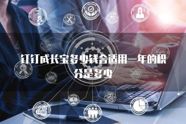 钉钉成长宝多少钱合适用一年的积分是多少