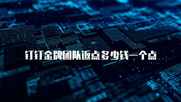 钉钉金牌团队返点多少钱一个点