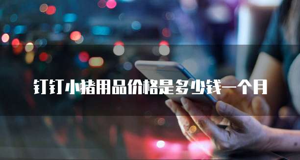 钉钉小猪用品价格是多少钱一个月