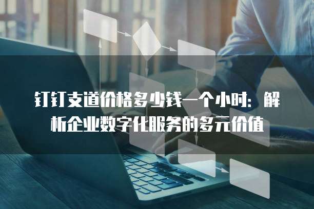 钉钉支道价格多少钱一个小时:解析企业数字化服务的多元价值