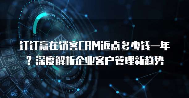 钉钉赢在销客CRM返点多少钱一年?深度解析企业客户管理新趋势