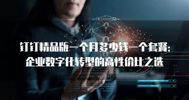钉钉精品版一个月多少钱一个套餐：企业数字化转型的高性价比之选