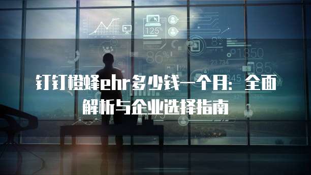 钉钉橙蜂ehr多少钱一个月:全面解析与企业选择指南