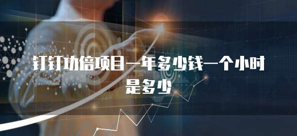 钉钉功倍项目一年多少钱一个小时是多少