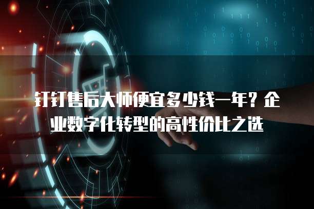 钉钉售后大师便宜多少钱一年?企业数字化转型的高性价比之选