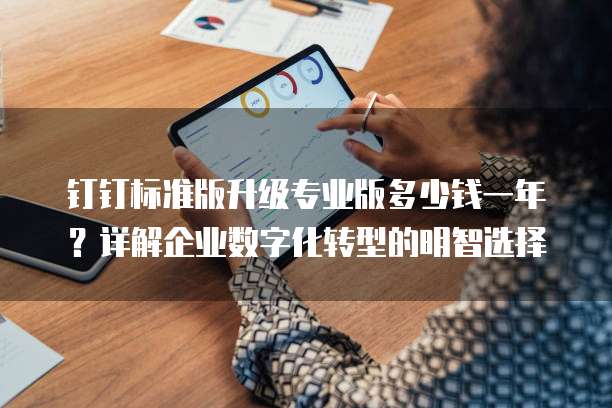钉钉标准版升级专业版多少钱一年?详解企业数字化转型的明智选择