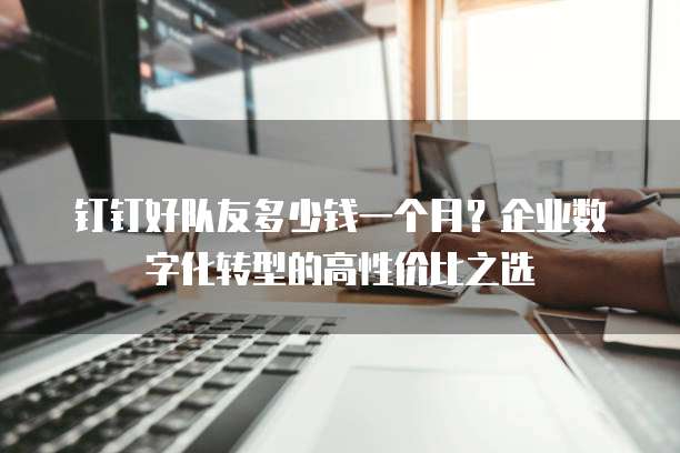 钉钉好队友多少钱一个月?企业数字化转型的高性价比之选