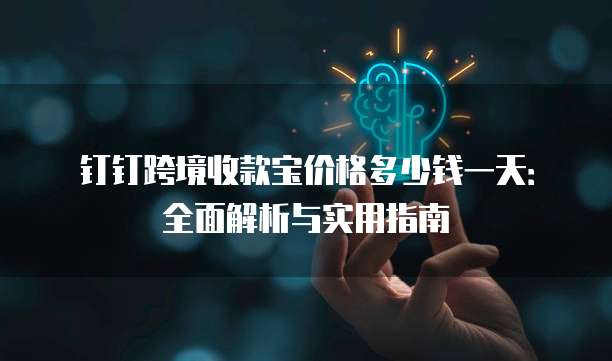 钉钉跨境收款宝价格多少钱一天:全面解析与实用指南