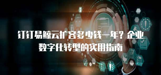 钉钉易鲸云扩容多少钱一年？企业数字化转型的实用指南