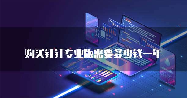 购买钉钉专业版需要多少钱一年