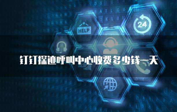 钉钉探迹呼叫中心收费多少钱一天