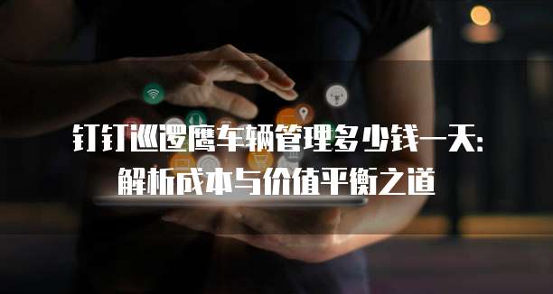 钉钉巡逻鹰车辆管理多少钱一天：解析成本与价值平衡之道