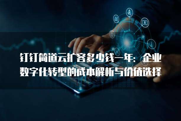 钉钉简道云扩容多少钱一年:企业数字化转型的成本解析与价值选择