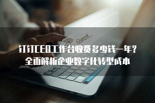 钉钉CEO工作台收费多少钱一年?全面解析企业数字化转型成本