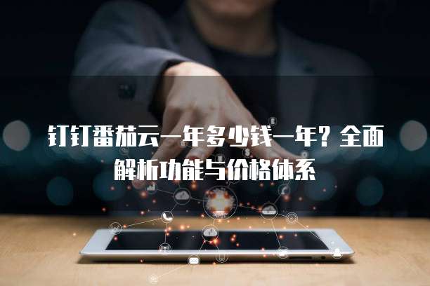 钉钉番茄云一年多少钱一年?全面解析功能与价格体系