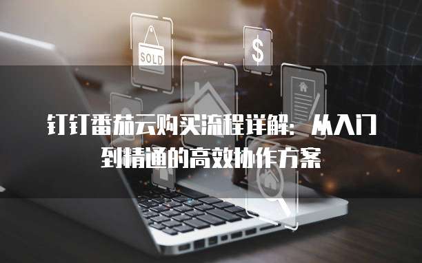 钉钉番茄云购买流程详解：从入门到精通的高效协作方案