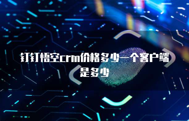 钉钉悟空crm价格多少一个客户端是多少