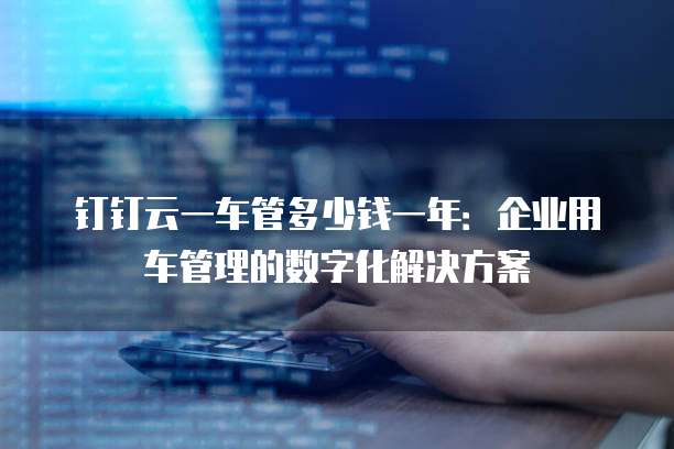 钉钉云一车管多少钱一年:企业用车管理的数字化解决方案