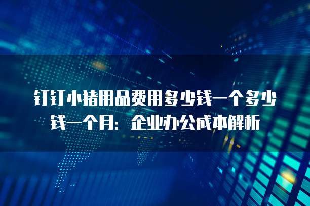 钉钉小猪用品费用多少钱一个多少钱一个月：企业办公成本解析