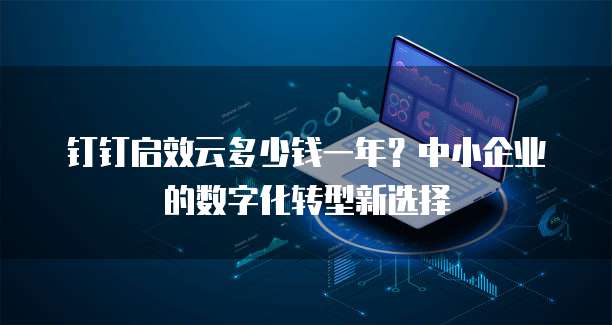 钉钉启效云多少钱一年?中小企业的数字化转型新选择