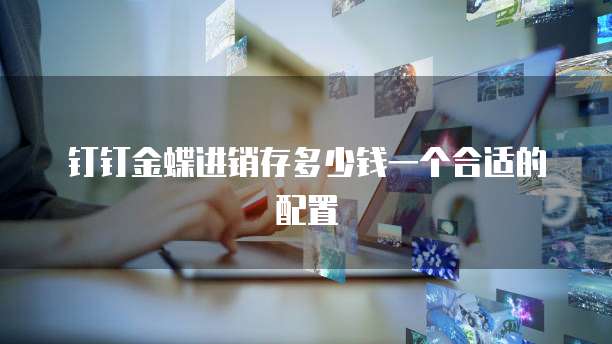 钉钉金蝶进销存多少钱一个合适的配置