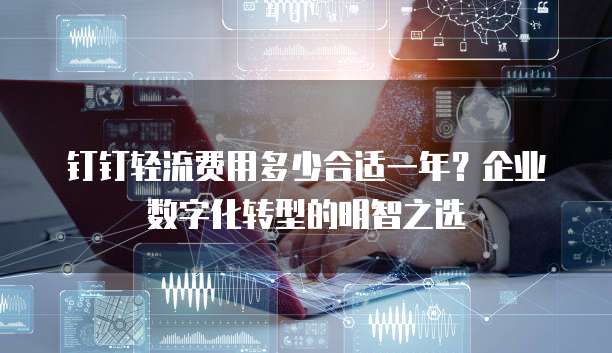 钉钉轻流费用多少合适一年?企业数字化转型的明智之选