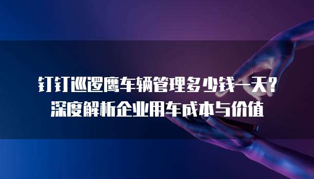 钉钉巡逻鹰车辆管理多少钱一天?深度解析企业用车成本与价值