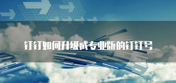 钉钉如何升级成专业版的钉钉号