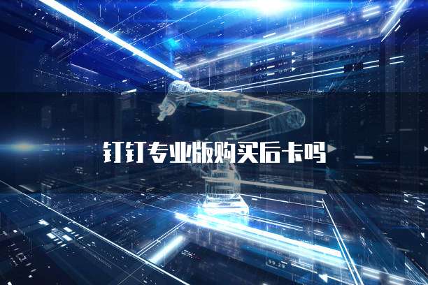 钉钉专业版购买后卡吗