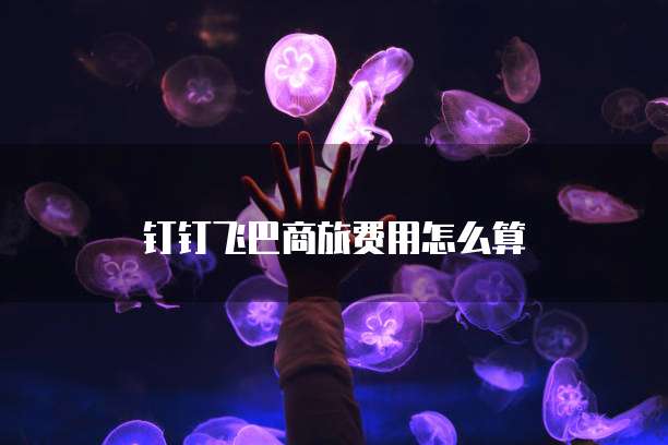 钉钉飞巴商旅费用怎么算
