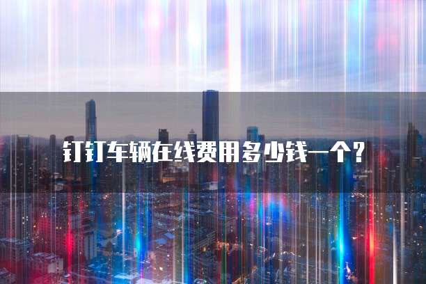 钉钉车辆在线费用多少钱一个?