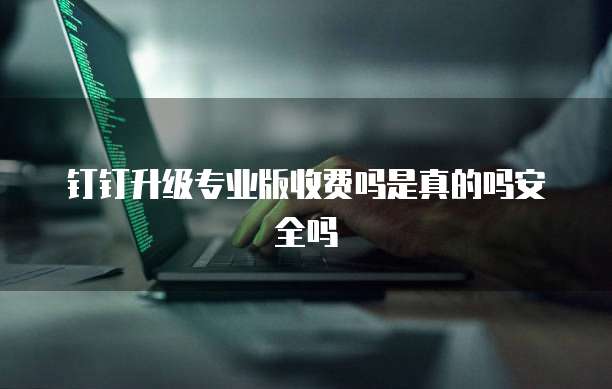 钉钉升级专业版收费吗是真的吗安全吗